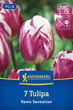 Triumph-Tulpe Rems Sensation