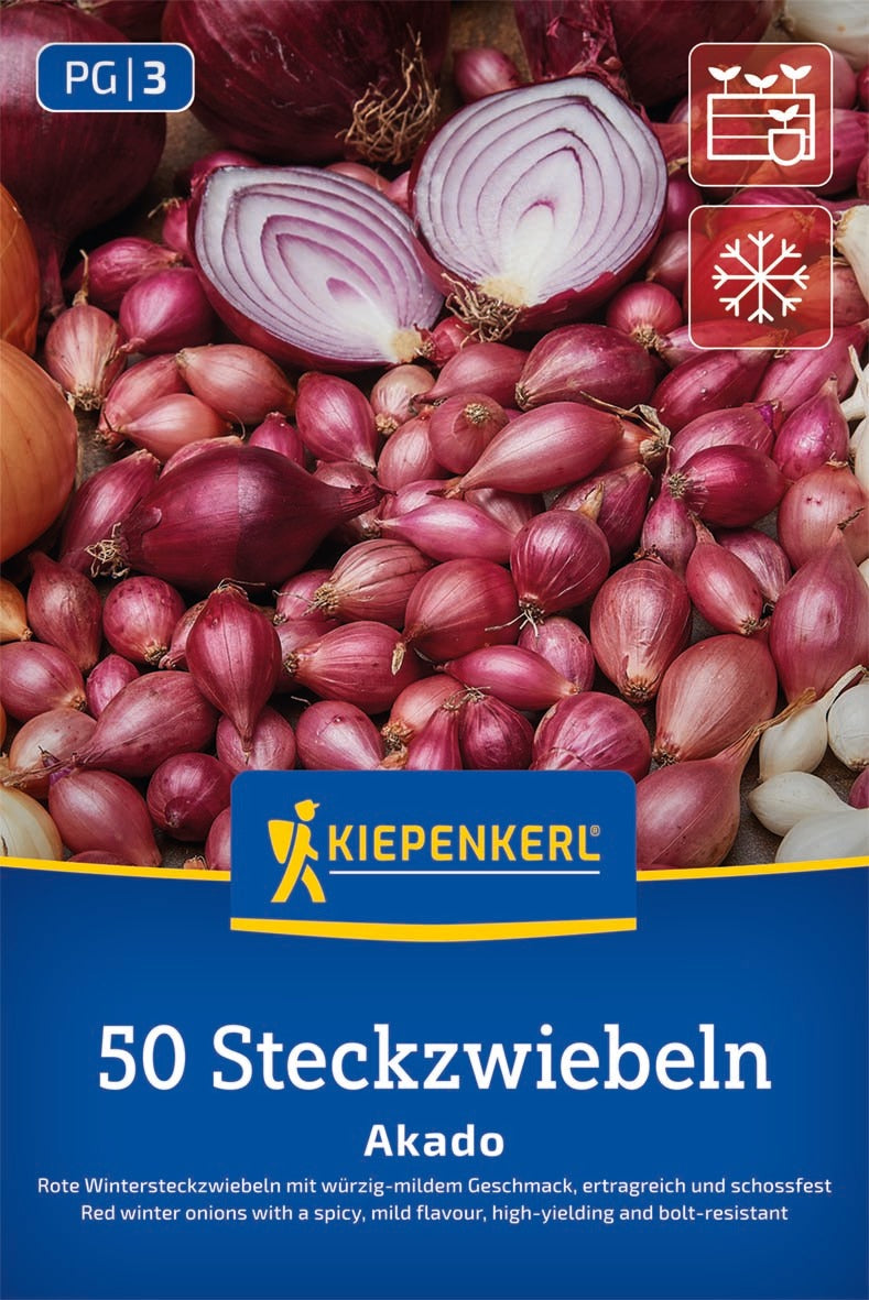 Kiepenkerl Rote Wintersteckzwiebel Akado 50 Stück