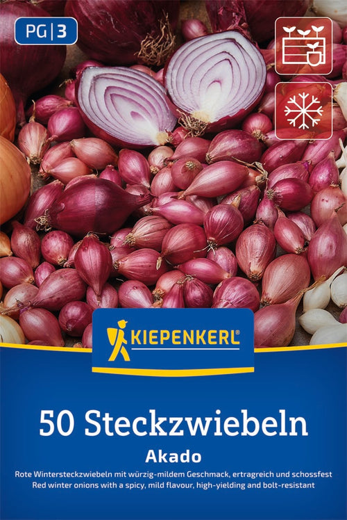 Kiepenkerl Rote Wintersteckzwiebel Akado 50 Stück