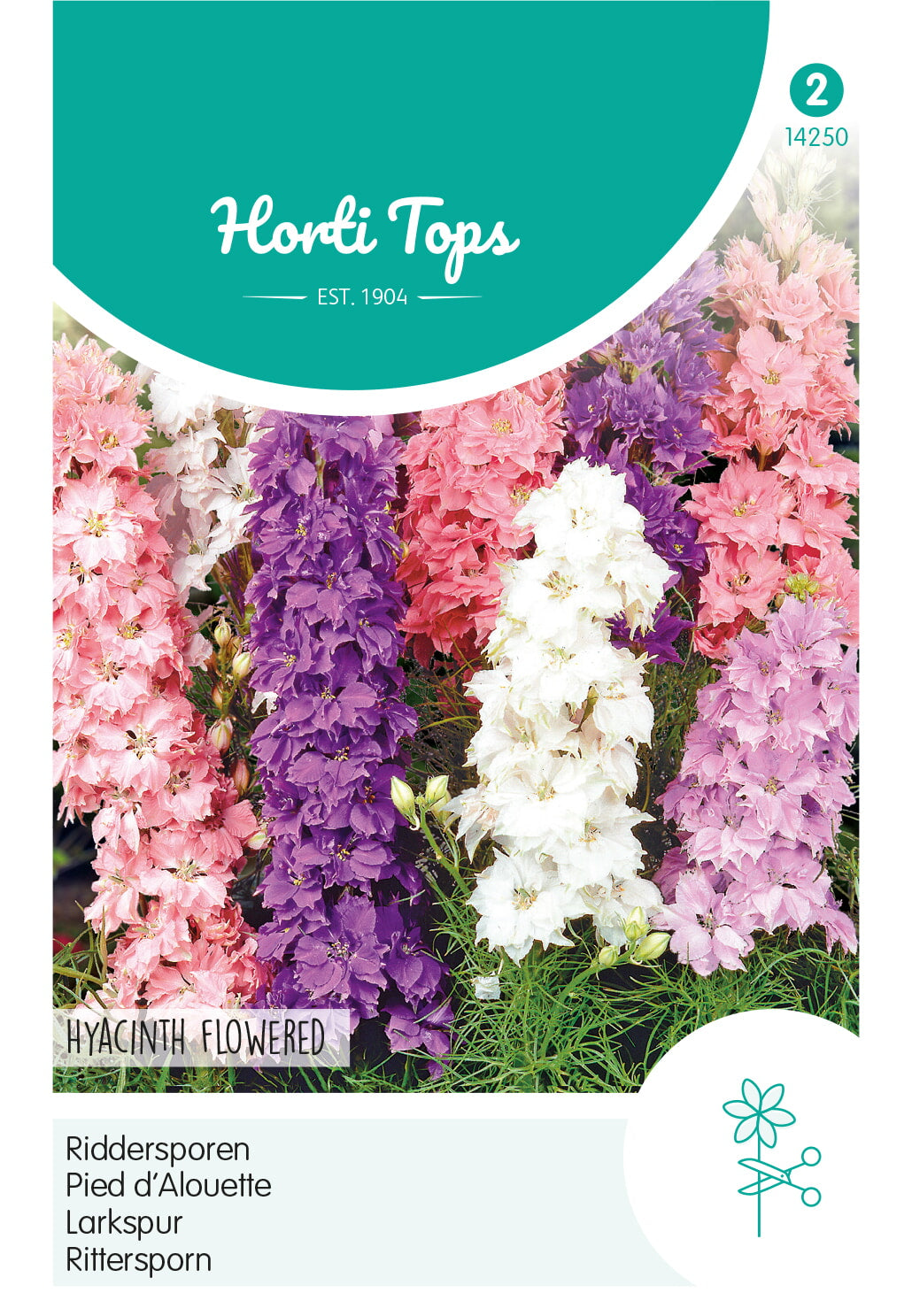 Horti Tops Garten-Feldrittersporn Niedriger Hyazinthenblütige Mischung