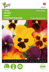Buzzy Seeds Stiefmütterchen Trimardeau Mischung