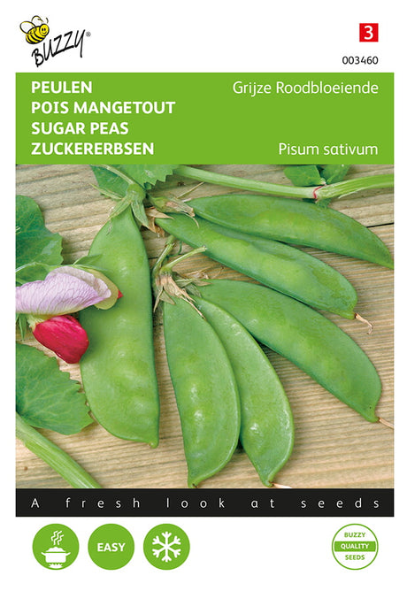 Buzzy Seeds Zuckererbse Graue buntblühende