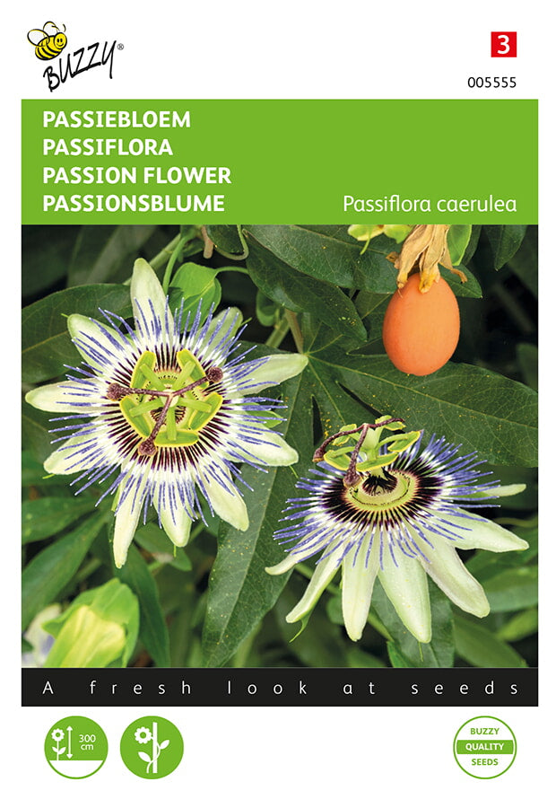Buzzy Seeds Passionsblume