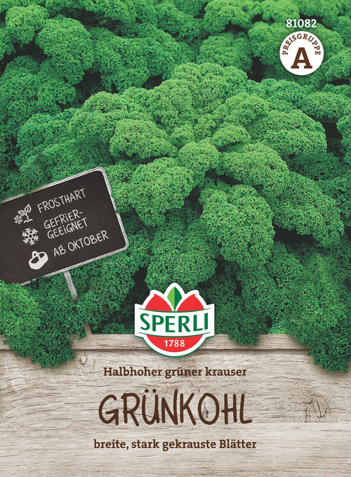 SPERLI Kohl Halbhoher grüner krauser