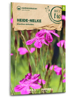 Samen Maier BIO Heidenelke