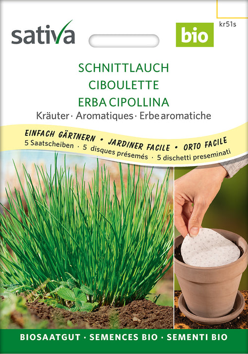 Sativa Schnittlauch Saatscheibe