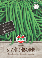 SPERLI Stangenbohne Matilda