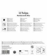 Mega-Pack Rembrandt-Tulpen Mischung