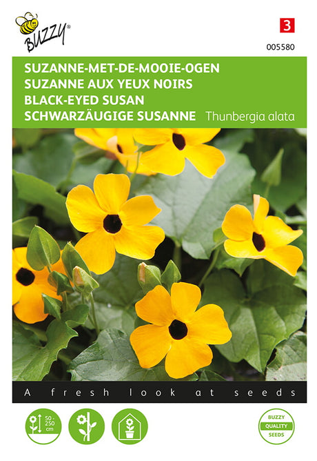 Buzzy Seeds Schwarzaügige Susanne