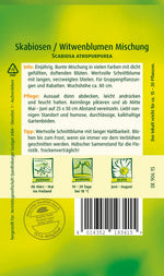 Quedlinburger Witwenblumen Mischung