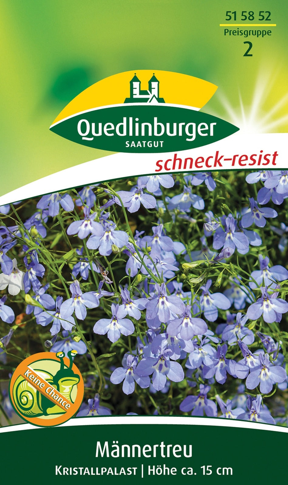 Quedlinburger Männertreu - Lobelie Kristallpalast