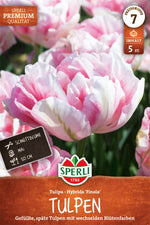 Premium Gefüllte Späte Tulpe Finola