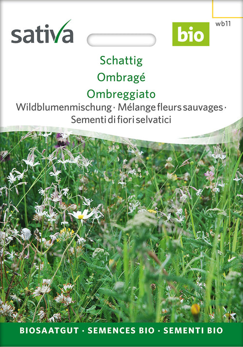 Sativa Wildblumenmischung Schattig
