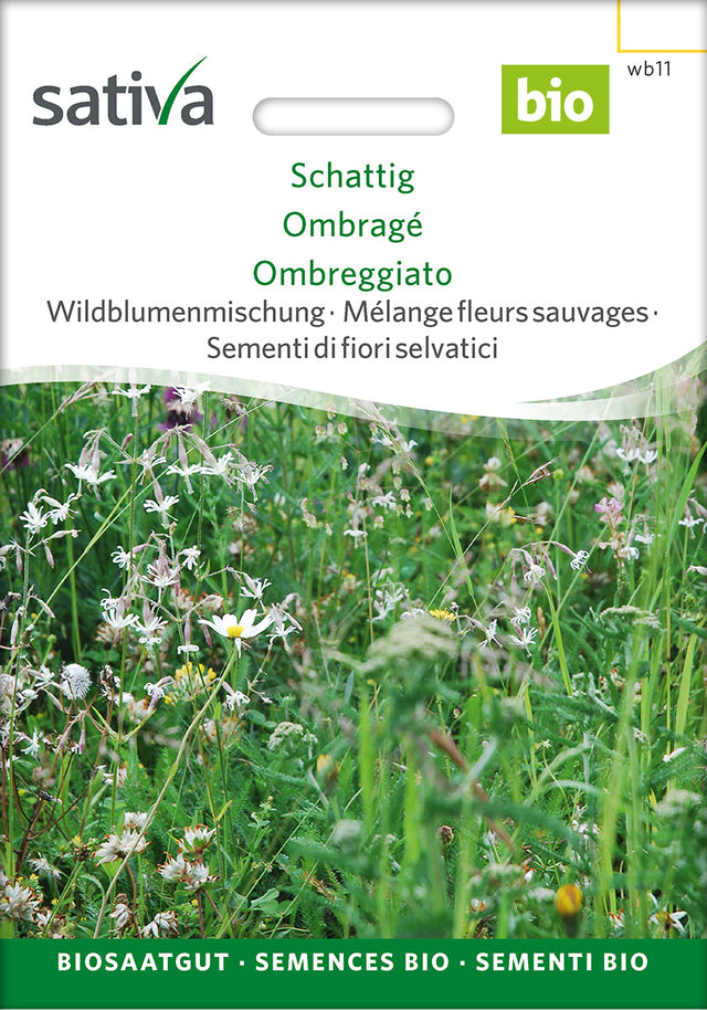 Sativa Wildblumenmischung Schattig