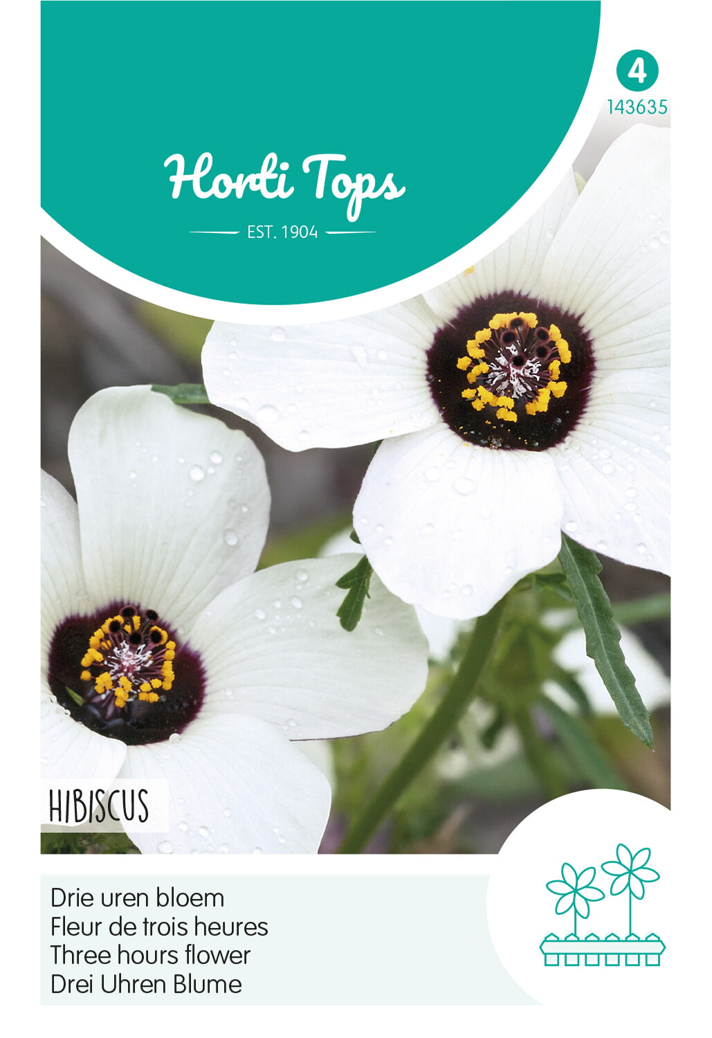 Horti Tops Schlafmohn Trionum