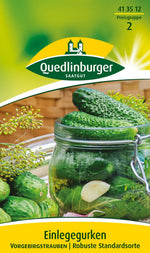 Quedlinburger Freiland-Einlegegurke Vorgebirgstrauben