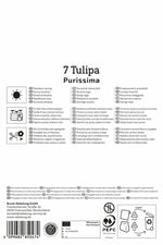 Fosteriana-Tulpe Purissima