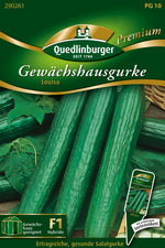 Quedlinburger Gewächshaus-Schlangengurke Louisa