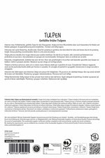 Gefüllte Frühe Tulpe Pamplona