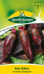 Quedlinburger Rote Bete Cylindra