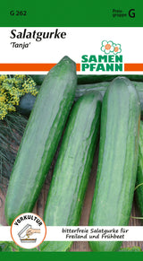Samen Pfann Salatgurke Tanja