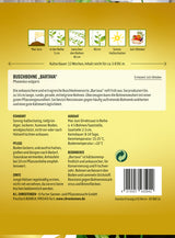 N.L. Chrestensen Buschbohne Bartava