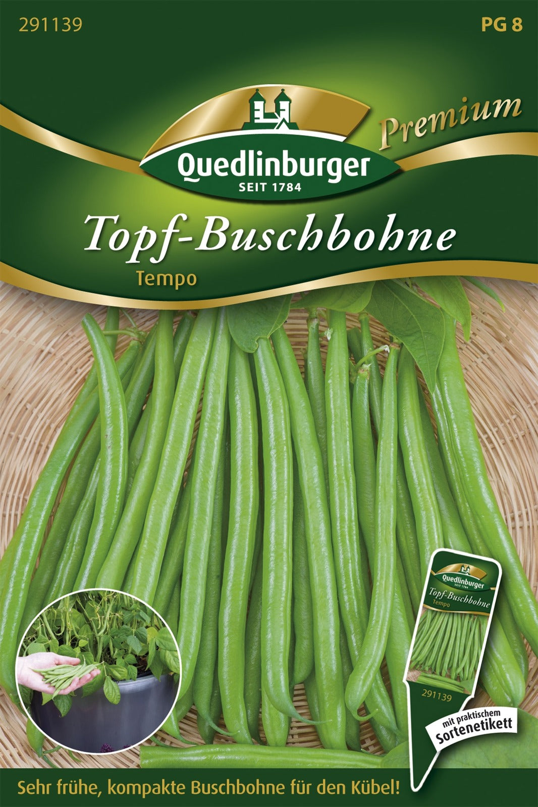 Quedlinburger Buschbohne Tempo