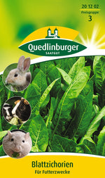 Quedlinburger Blattzichorien für Futterzwecke