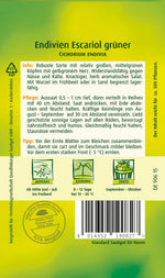Quedlinburger Kopfendivie Escariol Grüner
