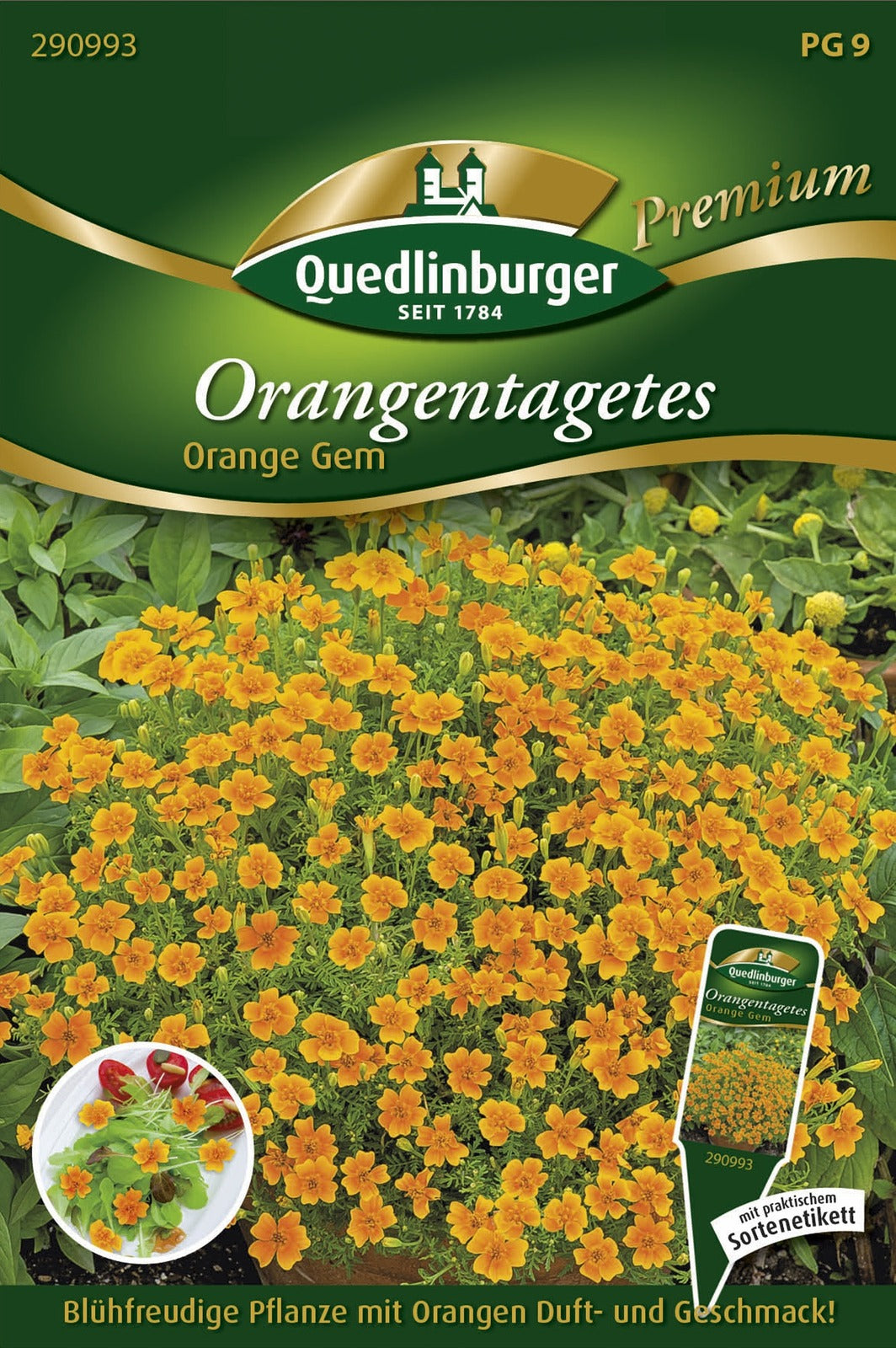 Quedlinburger Studentenblume Orange Gem