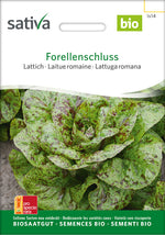 Sativa Lattich Forellenschluss