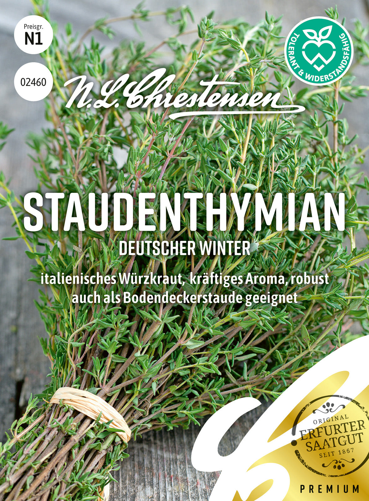 N.L. Chrestensen Staudenthymian Deutscher Winter