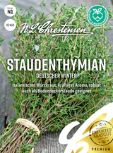 N.L. Chrestensen Staudenthymian Deutscher Winter