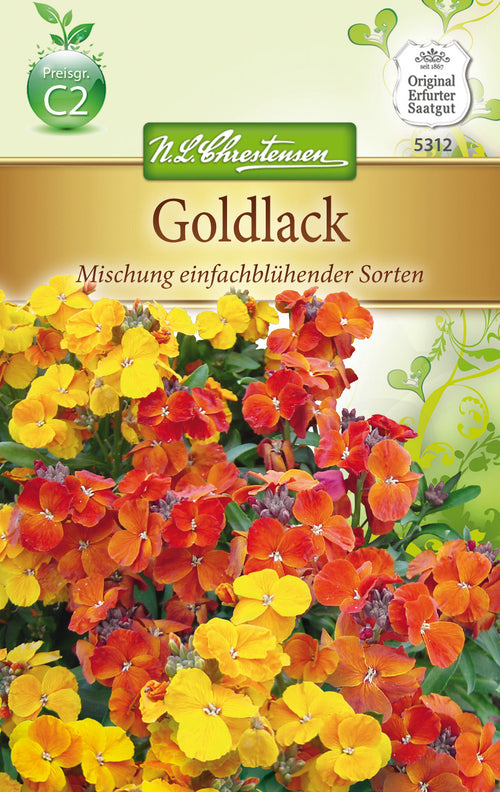 N.L. Chrestensen Erysimum Goldlack, Mischung