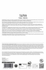 Einfache Frühe Tulpe Flair