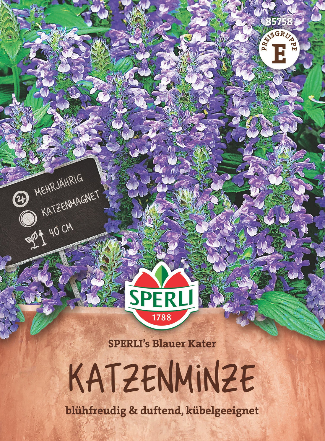 SPERLI Katzenminze SPERLI's Blauer Kater