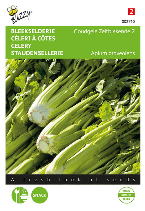 Buzzy Seeds Stangensellerie Goldgelber 2