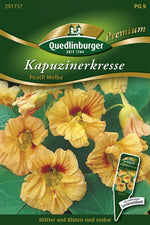 Quedlinburger Kapuzinerkresse Peach Melba