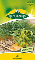 Quedlinburger Dill Gewöhnlicher