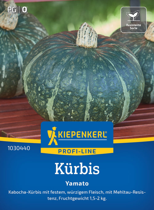 Kiepenkerl Kürbis Yamato
