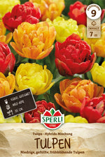 Gefüllte Frühe Tulpen Mischung