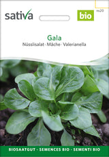 Sativa BIO Nüsslisalat Gala