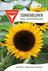Frankonia Samen Sonnenblumen hohe, einfachblühende