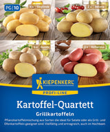 Kiepenkerl Pflanzkartoffel Quartett Grillkartoffeln 12 Stück