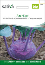 Sativa Kohlrabi blau Azur Star