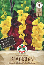 SPERLI Gladiole Back Surprise, Limoncello