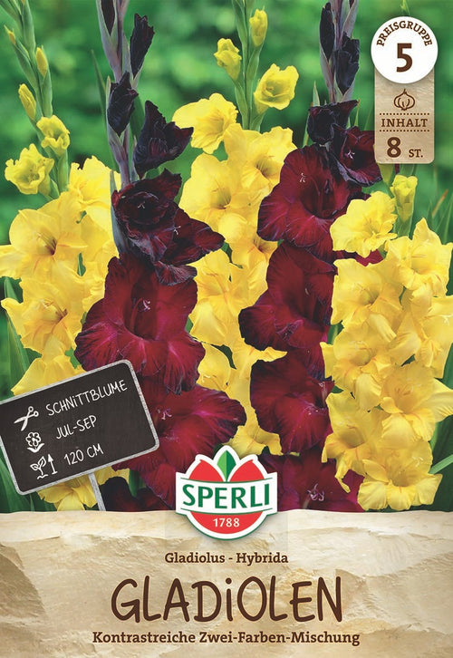 SPERLI Gladiole Back Surprise, Limoncello