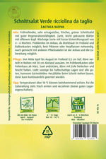Quedlinburger Pflück-& Schnittsalat verde ricciolina da taglio