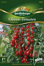 Quedlinburger Cherrytomate Pandorino