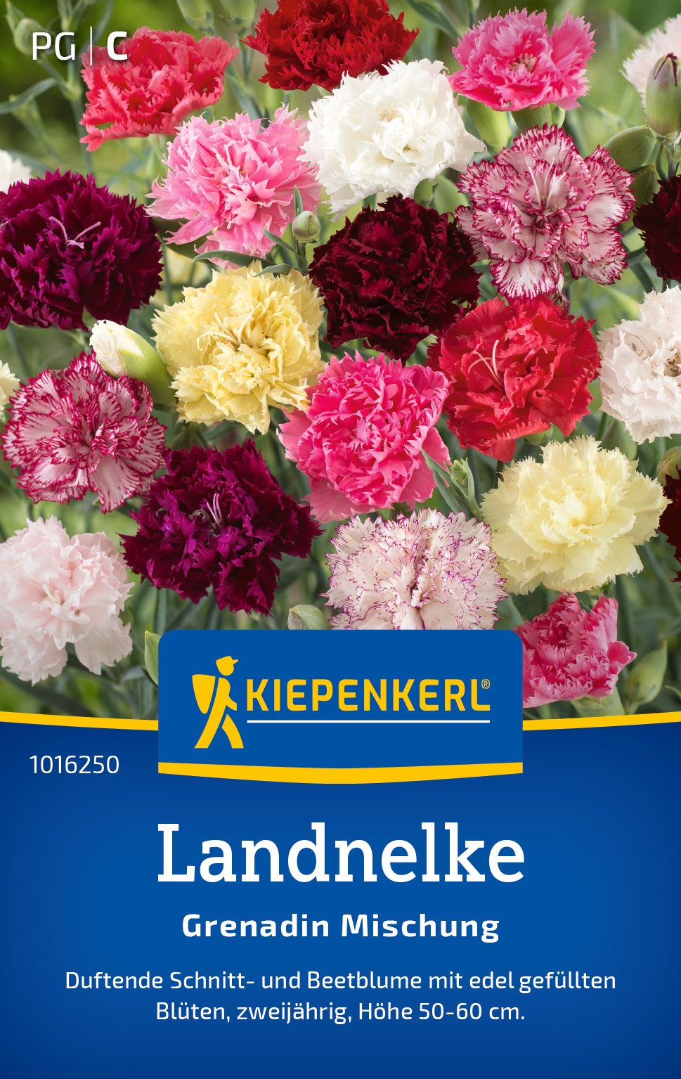 Kiepenkerl Landnelke Grenadin Mischung